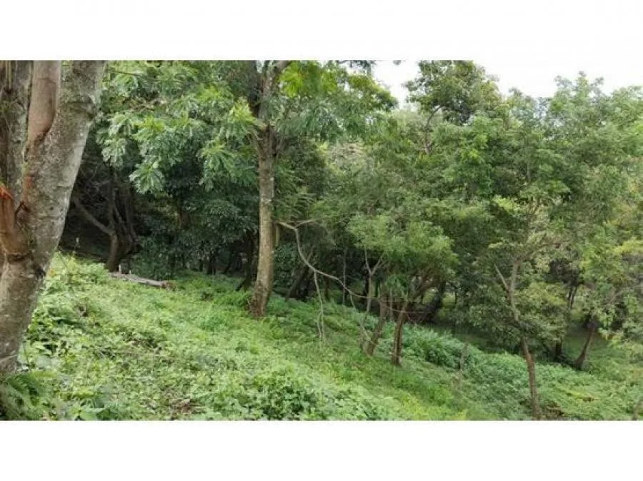 Venta de Propiedad para desarrollo comercial y habitacional en San Pedro Montes de Oca US$3,875,000  - Venta en Montes de Oca, photo 14