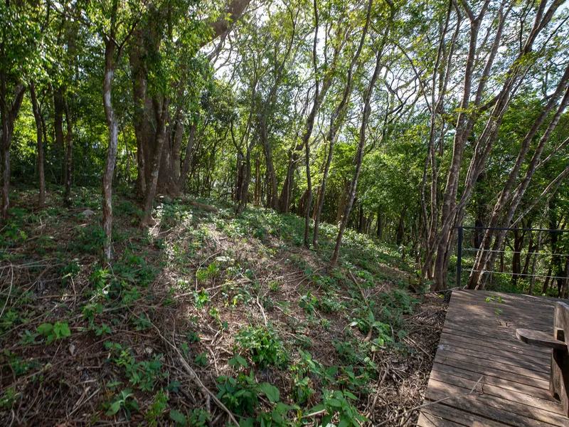 Land For Sale in Nosara, photo 13