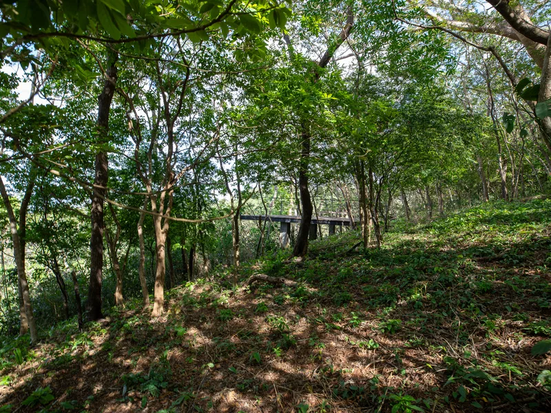 Land For Sale in Nosara, photo 15