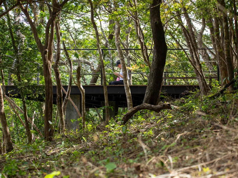 Land For Sale in Nosara, photo 7