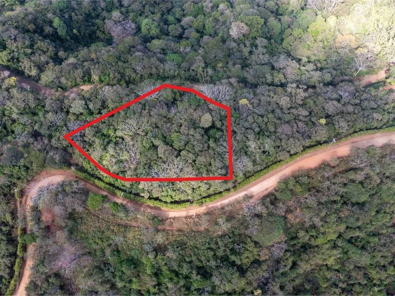 Land For Sale in Nosara, photo 9