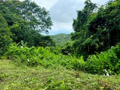 ¡La mejor propiedad en desarrollo con vista al mar en el sur de Costa Rica!, photo 5