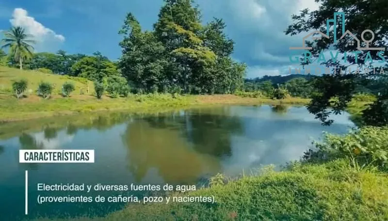 FINCA GANADERA EN VENTA EN PITAL, SAN CARLOS, ALAJUELA