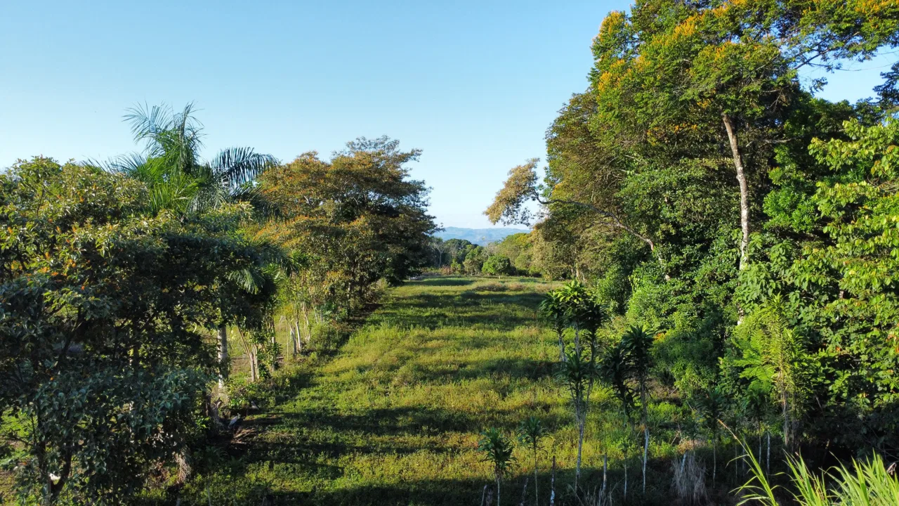 RARE 3.1-ACRE OPPORTUNITY NEAR SAN ISIDRO — PRIME FOR RESIDENTIAL OR COMMERCIAL DEVELOPMENT