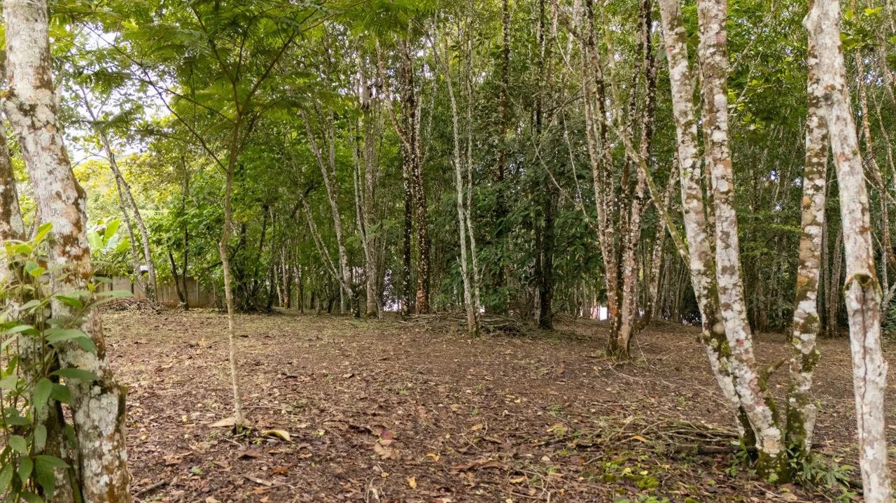 Spacious Lot for sale in Perez Zeledon, photo 6