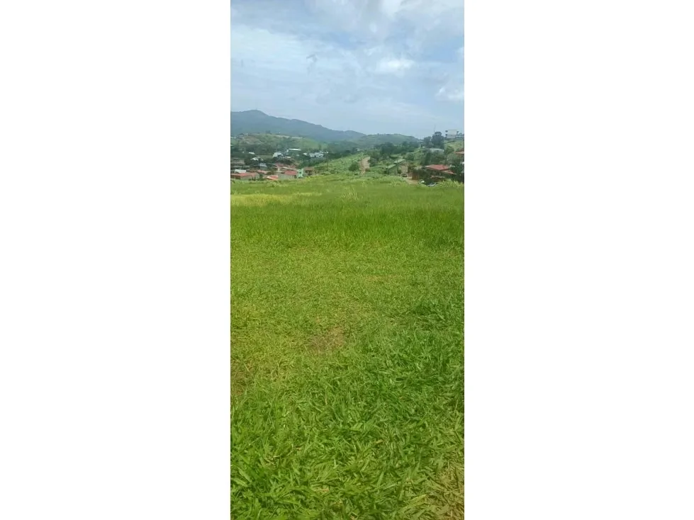 Acceso a ruta principal,Ruta 705 ideal para desarrolladores e inversionistas, zona de alta demanda residencial, con increíbles vistas,. Terreno casi plano. Proyecto aprobado para 88 ..., photo 3