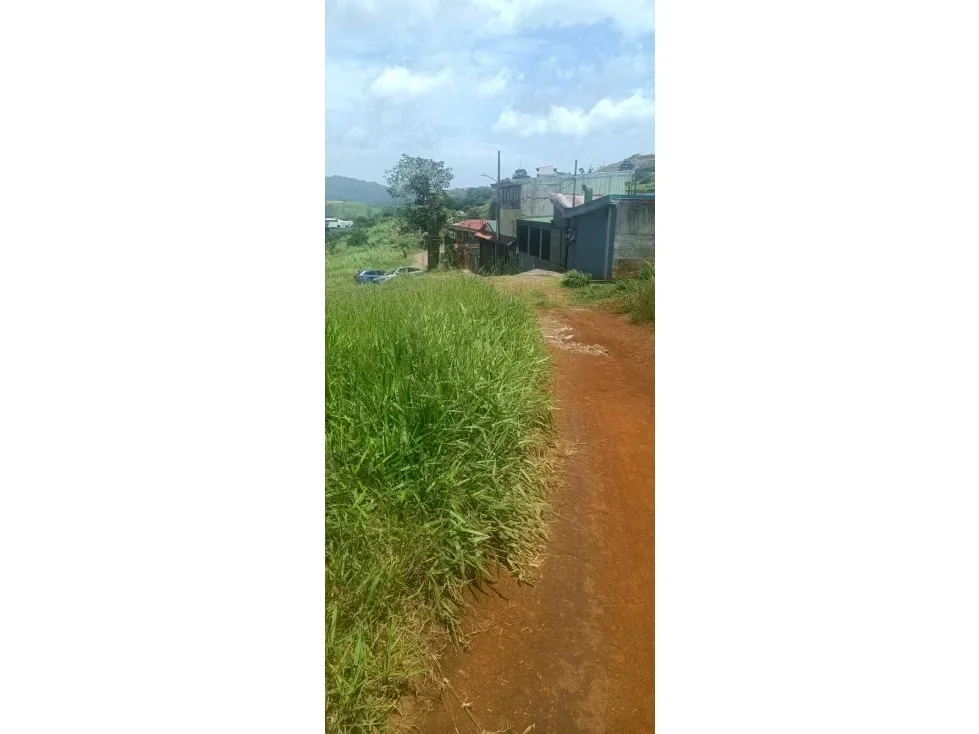 Acceso a ruta principal,Ruta 705 ideal para desarrolladores e inversionistas, zona de alta demanda residencial, con increíbles vistas,. Terreno casi plano. Proyecto aprobado para 88 ..., photo 5
