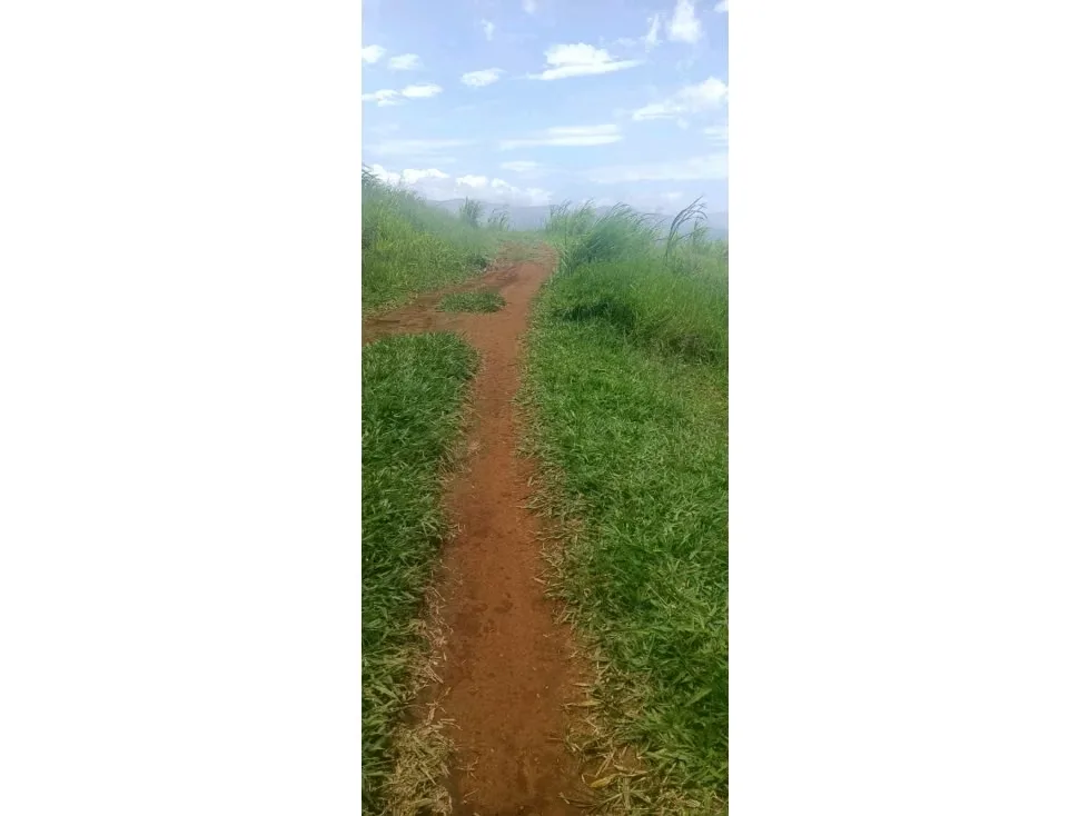 Acceso a ruta principal,Ruta 705 ideal para desarrolladores e inversionistas, zona de alta demanda residencial, con increíbles vistas,. Terreno casi plano. Proyecto aprobado para 88 ..., photo 6