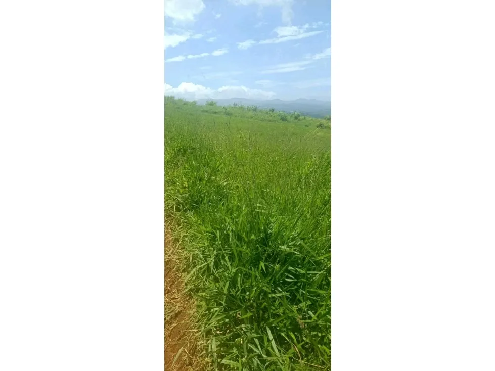 Acceso a ruta principal,Ruta 705 ideal para desarrolladores e inversionistas, zona de alta demanda residencial, con increíbles vistas,. Terreno casi plano. Proyecto aprobado para 88 ..., photo 7