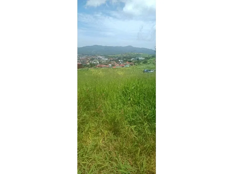 Acceso a ruta principal,Ruta 705 ideal para desarrolladores e inversionistas, zona de alta demanda residencial, con increíbles vistas,. Terreno casi plano. Proyecto aprobado para 88 ..., photo 10