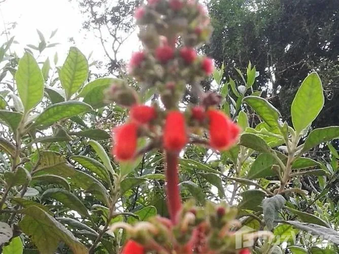 Land for Sale in Tilaran, Guanacaste for $501,177, photo 2
