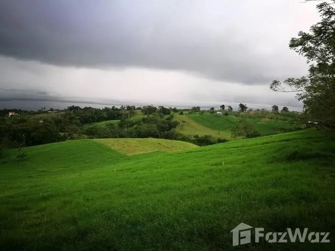 Land for Sale in Tilaran, Guanacaste for $501,177, photo 4