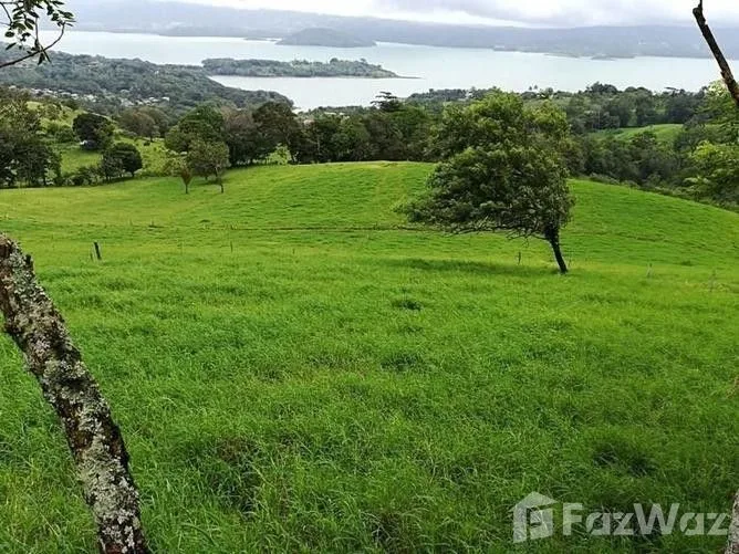 Land for Sale in Tilaran, Guanacaste for $501,177, photo 5