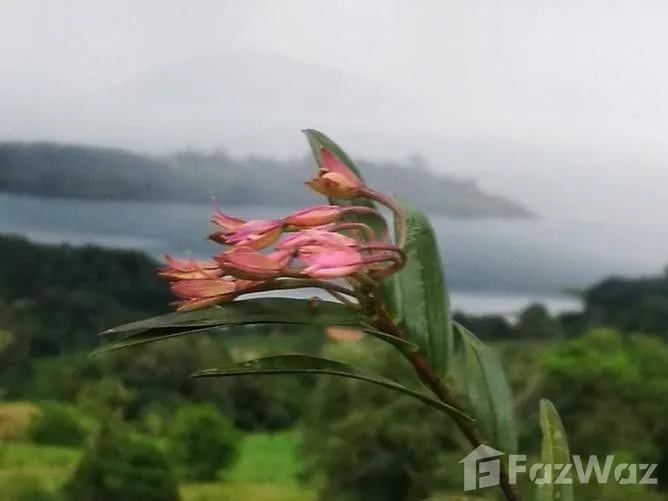 Land for Sale in Tilaran, Guanacaste for $501,177, photo 6