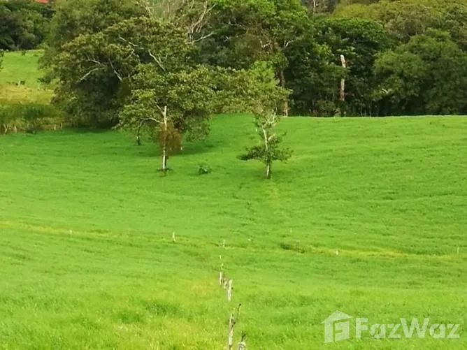 Land for Sale in Tilaran, Guanacaste for $501,177, photo 8