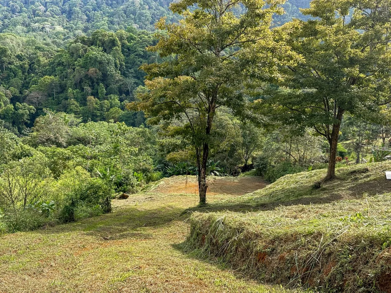 A RARE MOUNTAIN RETREAT WITH BUILDING SITES  , NICE VIEWS AND RIVER – 4.3 ACRES, photo 26