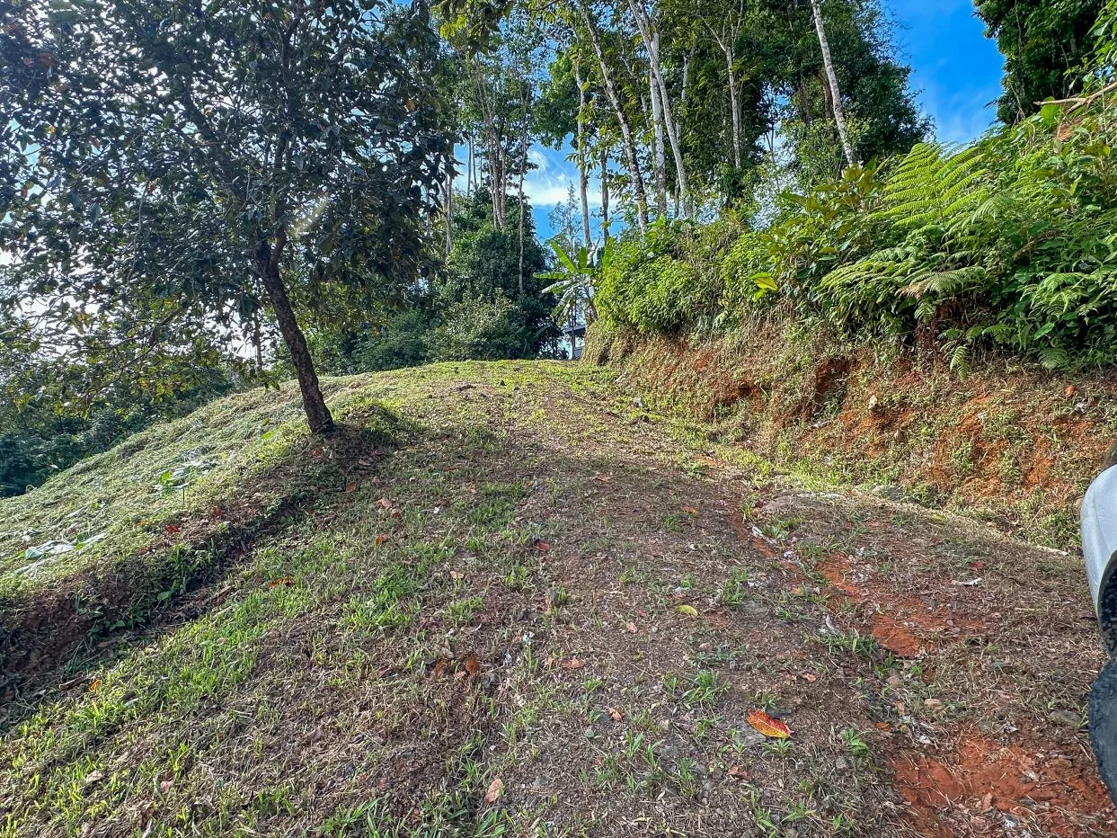 A RARE MOUNTAIN RETREAT WITH BUILDING SITES  , NICE VIEWS AND RIVER – 4.3 ACRES, photo 27