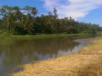 Lote Tuba Creek , photo 2