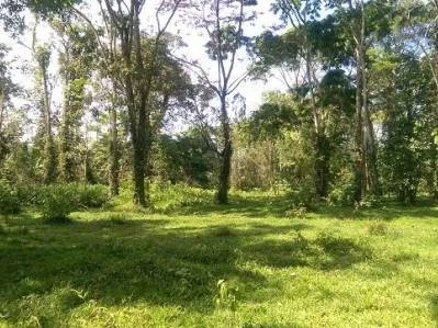 Lote Tuba Creek , photo 3