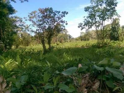 Lote Tuba Creek , photo 4