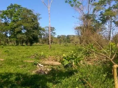 Lote Tuba Creek , photo 6