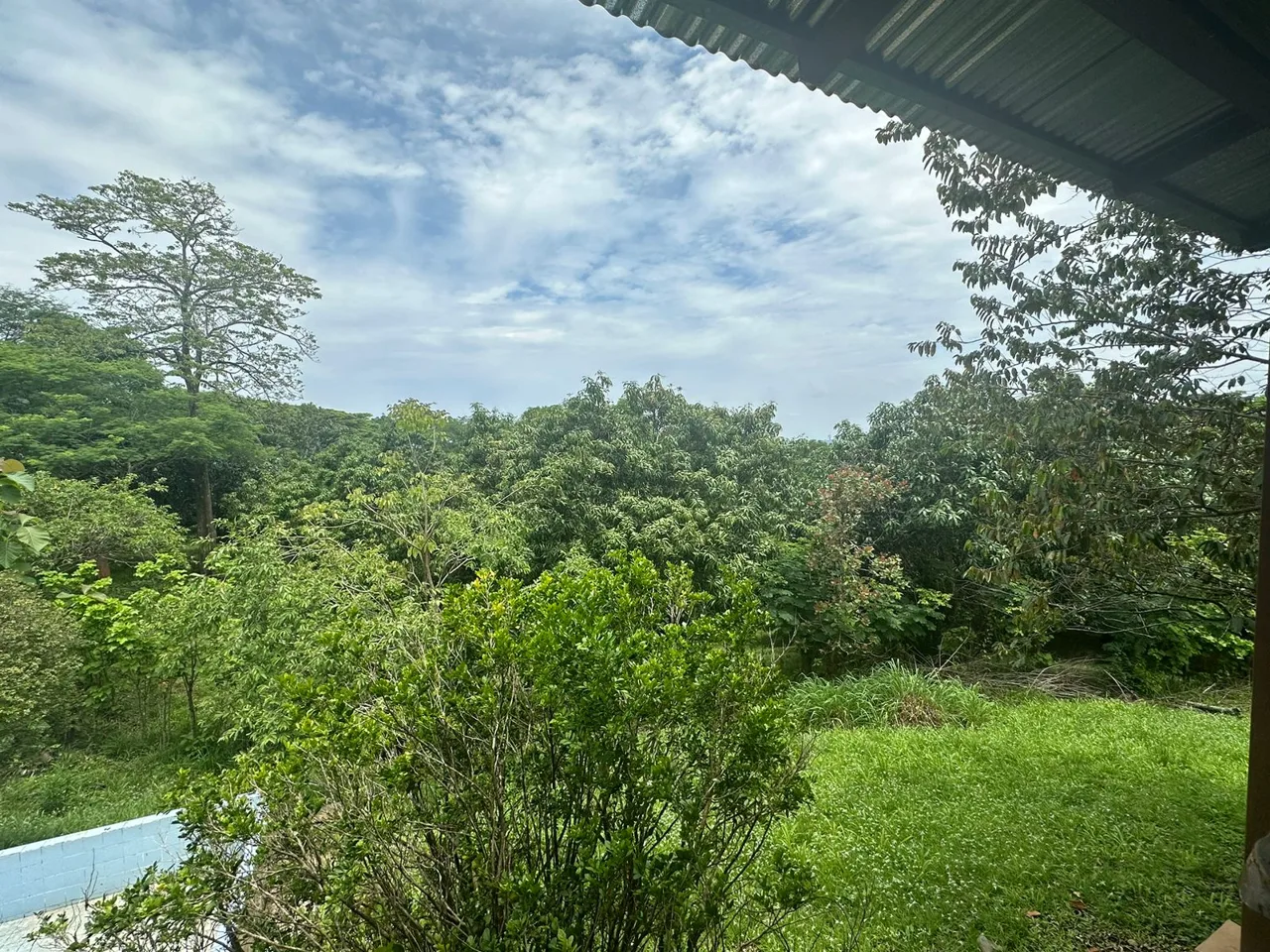 Beautiful Farm San Pedro Turrubares, photo 6