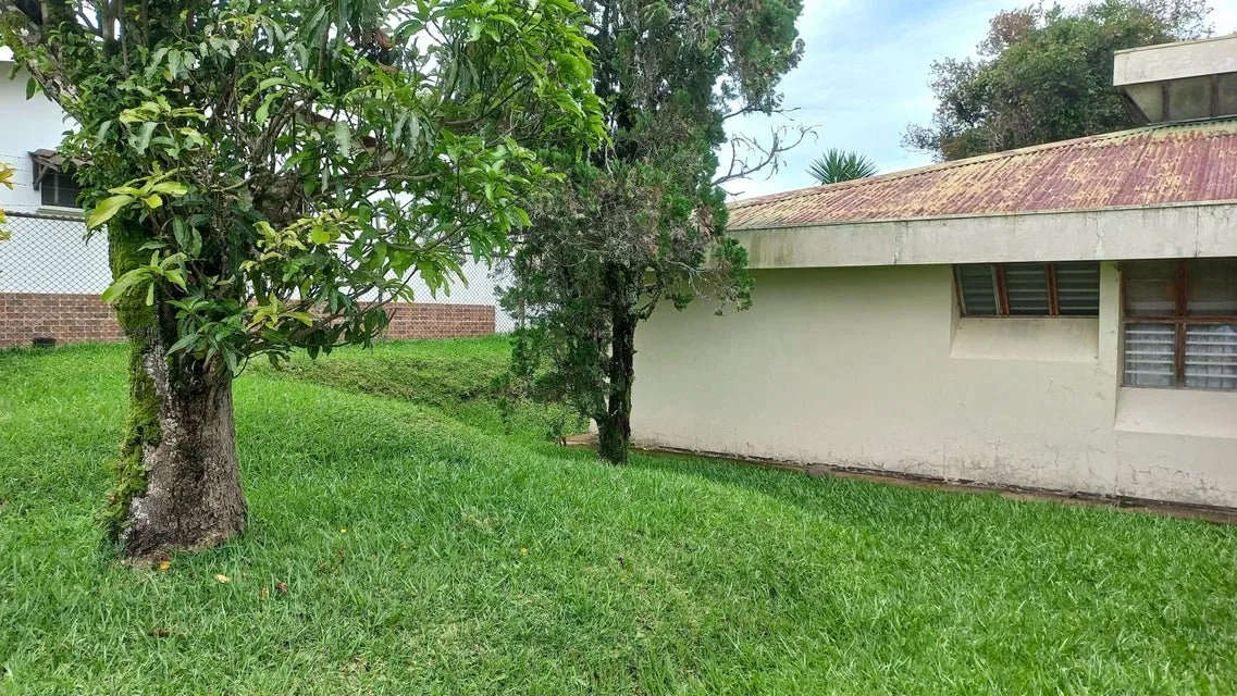 Se vende lote en Mata de Plátano Goicoechea 25-1767 - Venta en Goicoechea, photo 11