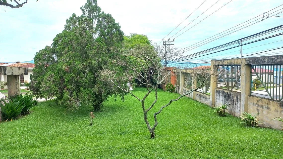 Se vende lote en Mata de Plátano Goicoechea 25-1767 - Venta en Goicoechea, photo 17