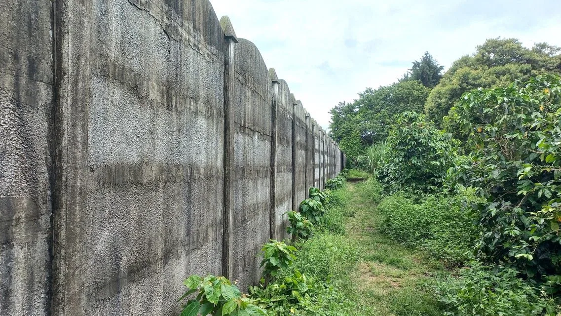 Se vende lote en Mata de Plátano Goicoechea 25-1767 - Venta en Goicoechea, photo 20
