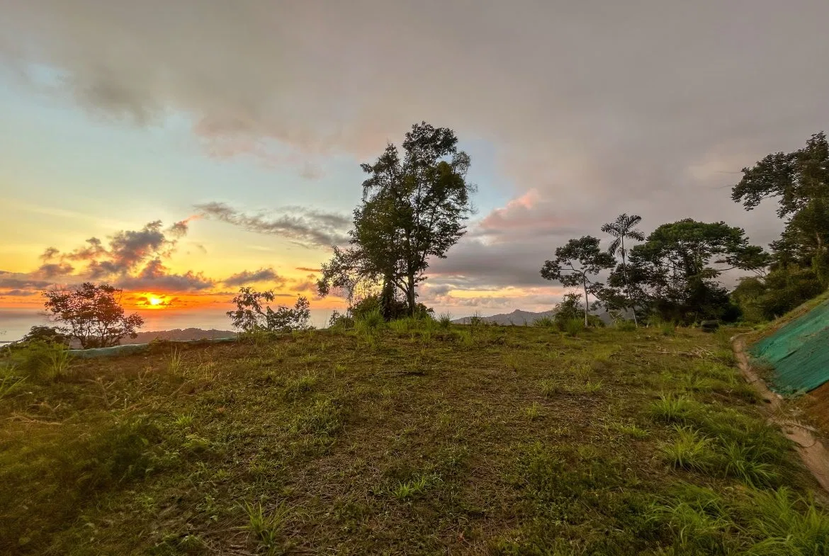 THREE BUILDING LOTS WITH OCEAN VIEWS IN THE NATURAL HEART OF VERGEL, IN PUNTA MALA – 2.47 ACRES, photo 14