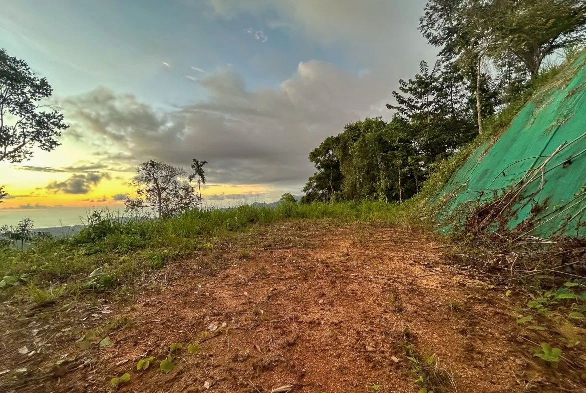 THREE BUILDING LOTS WITH OCEAN VIEWS IN THE NATURAL HEART OF VERGEL, IN PUNTA MALA – 2.47 ACRES, photo 16