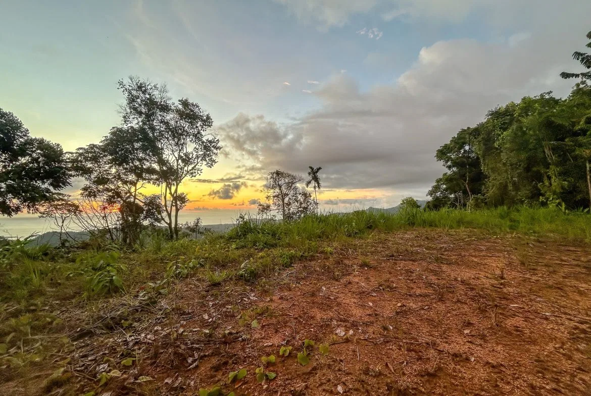 THREE BUILDING LOTS WITH OCEAN VIEWS IN THE NATURAL HEART OF VERGEL, IN PUNTA MALA – 2.47 ACRES, photo 18