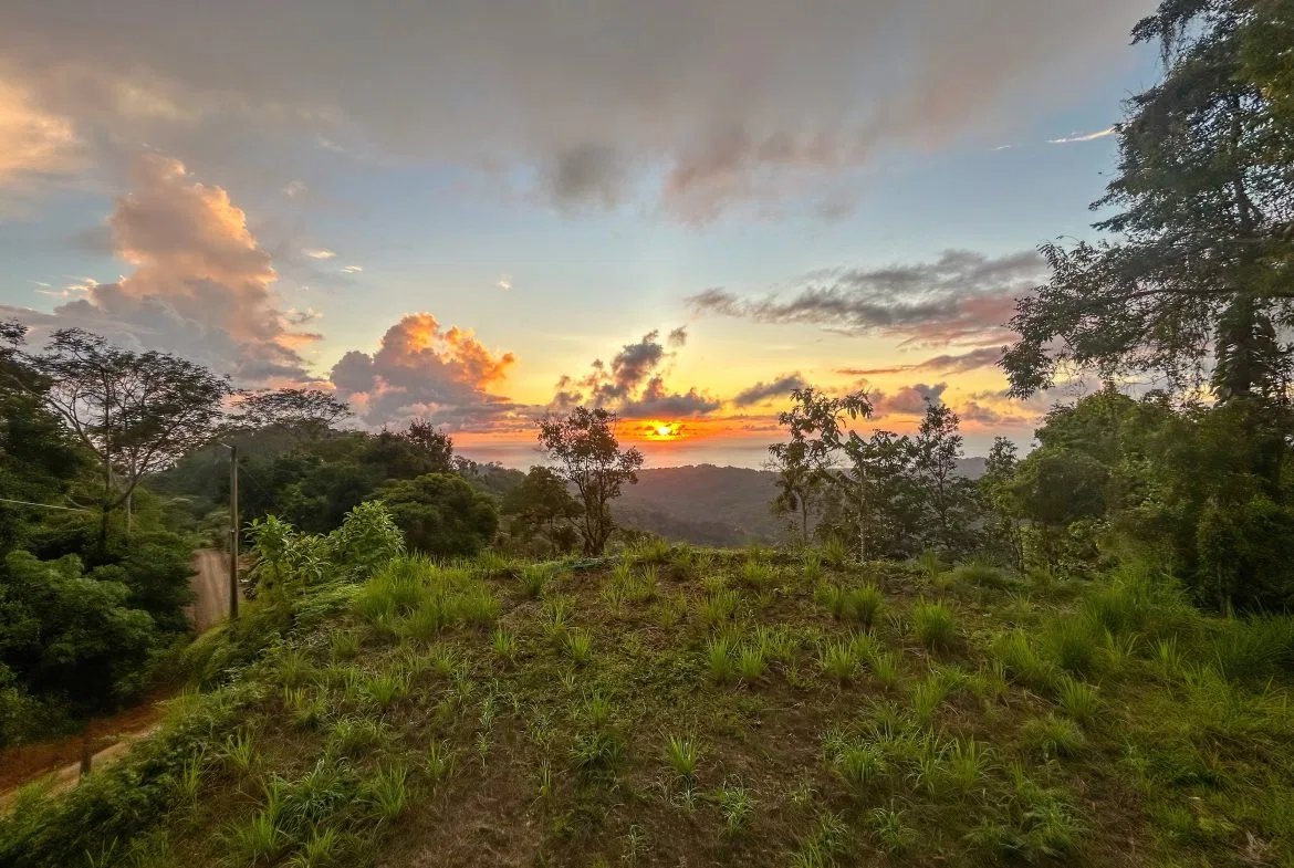THREE BUILDING LOTS WITH OCEAN VIEWS IN THE NATURAL HEART OF VERGEL, IN PUNTA MALA – 2.47 ACRES, photo 20