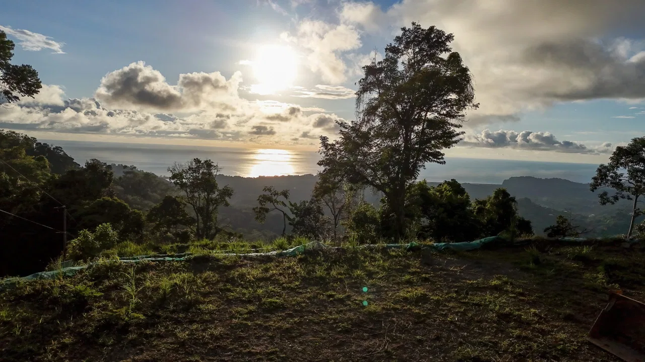 THREE BUILDING LOTS WITH OCEAN VIEWS IN THE NATURAL HEART OF VERGEL, IN PUNTA MALA – 2.47 ACRES, photo 21