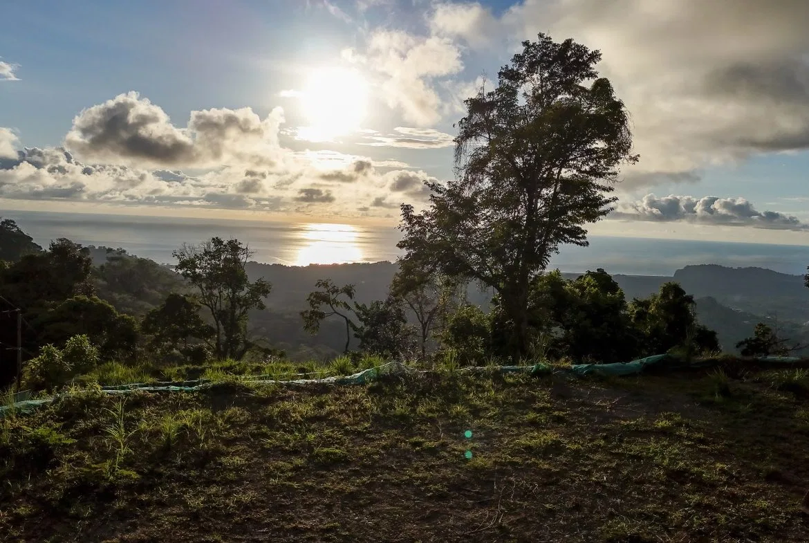 THREE BUILDING LOTS WITH OCEAN VIEWS IN THE NATURAL HEART OF VERGEL, IN PUNTA MALA – 2.47 ACRES, photo 22