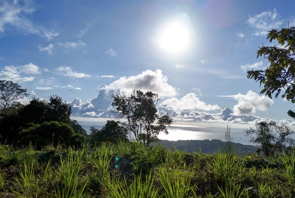 THREE BUILDING LOTS WITH OCEAN VIEWS IN THE NATURAL HEART OF VERGEL, IN PUNTA MALA – 2.47 ACRES, photo 24