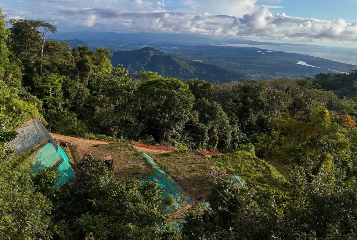 THREE BUILDING LOTS WITH OCEAN VIEWS IN THE NATURAL HEART OF VERGEL, IN PUNTA MALA – 2.47 ACRES, photo 6