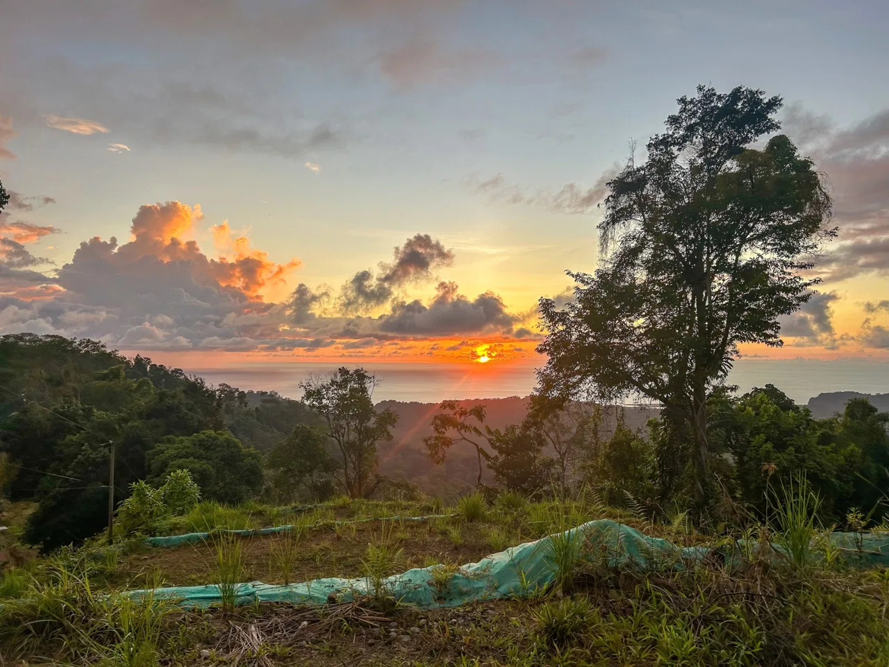 THREE BUILDING LOTS WITH OCEAN VIEWS IN THE NATURAL HEART OF VERGEL, IN PUNTA MALA – 2.47 ACRES, photo 7