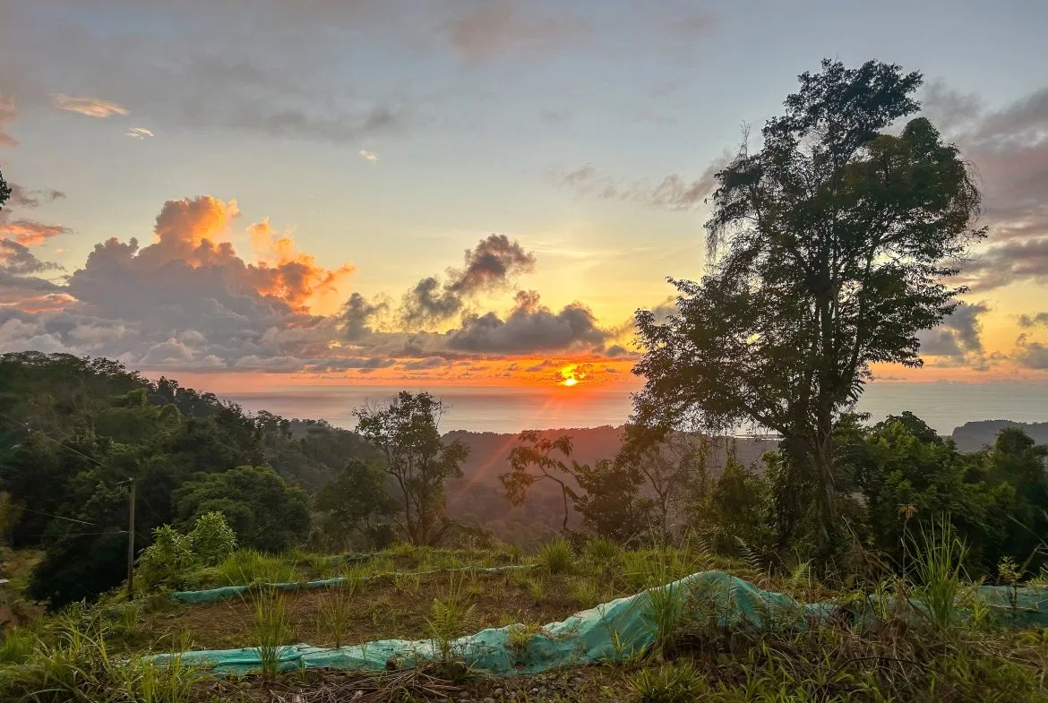 THREE BUILDING LOTS WITH OCEAN VIEWS IN THE NATURAL HEART OF VERGEL, IN PUNTA MALA – 2.47 ACRES, photo 8