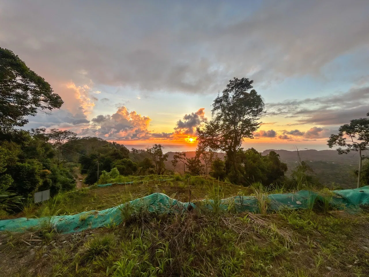 THREE BUILDING LOTS WITH OCEAN VIEWS IN THE NATURAL HEART OF VERGEL, IN PUNTA MALA – 2.47 ACRES, photo 9