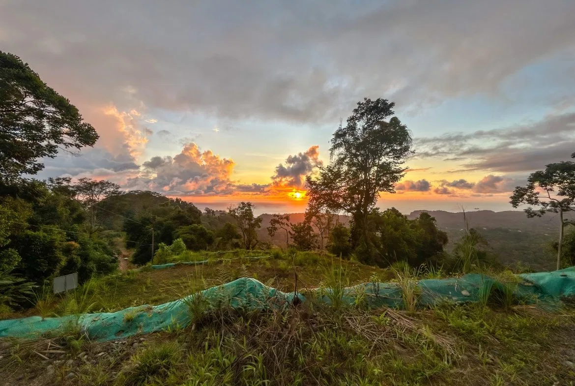 THREE BUILDING LOTS WITH OCEAN VIEWS IN THE NATURAL HEART OF VERGEL, IN PUNTA MALA – 2.47 ACRES, photo 10