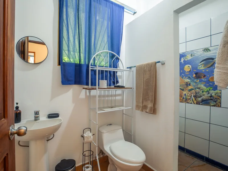 3 Bed Single Family Homes For Sale in Nosara, photo 12
