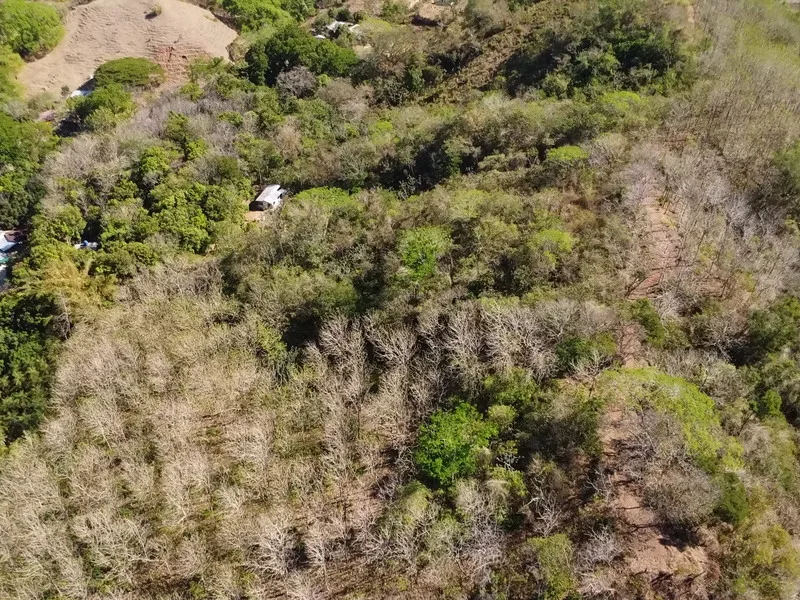 Land For Sale in Samara, photo 5