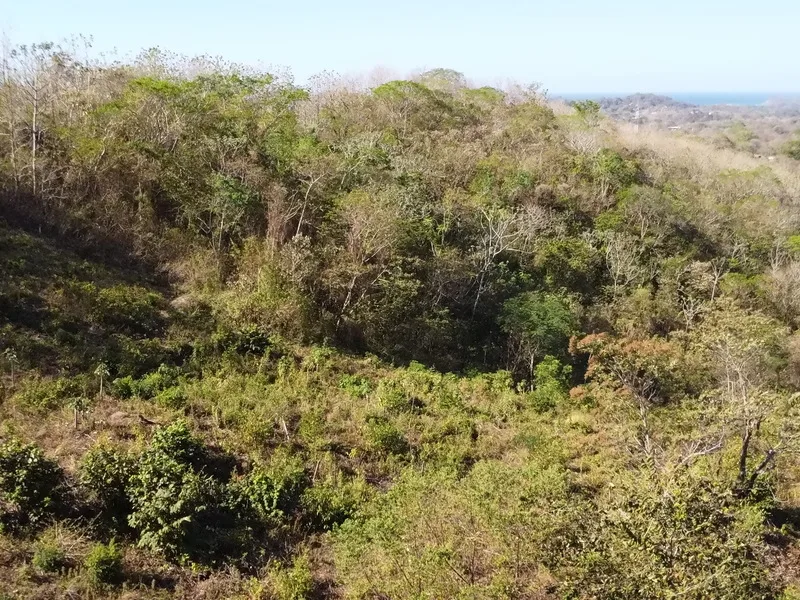 Land For Sale in Samara, photo 6