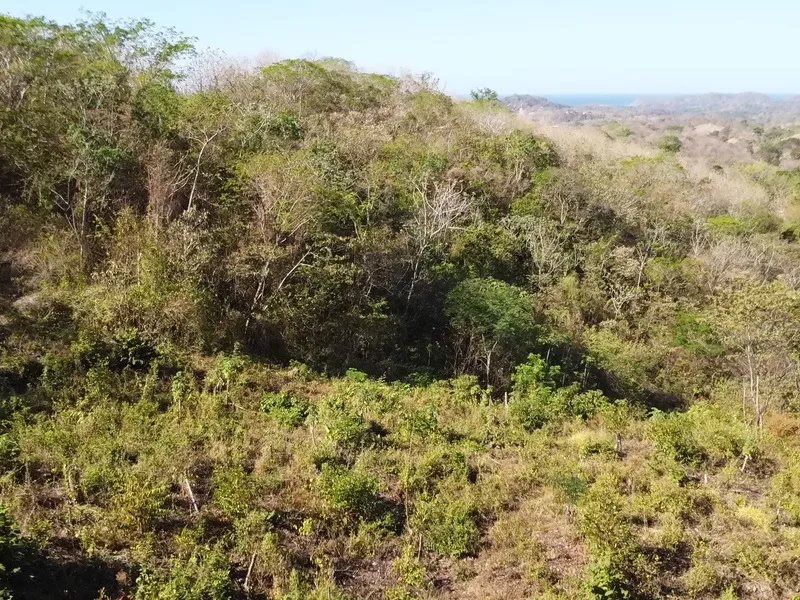 Land For Sale in Samara, photo 7