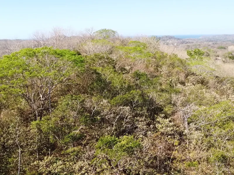 Land For Sale in Samara, photo 8