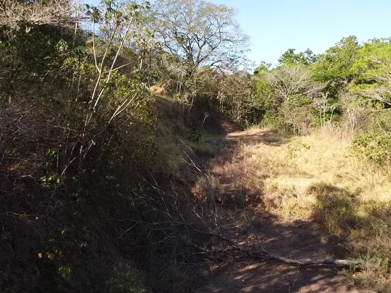 Land For Sale in Samara, photo 10