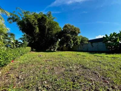 MAGICAL CORNER LOT IN UVITA w/ 8-MINUTE WALK TO NATIONAL PARK BEACH, photo 26