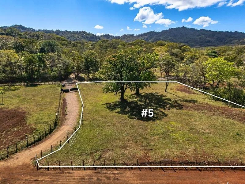 Land For Sale in Tamarindo, photo 8