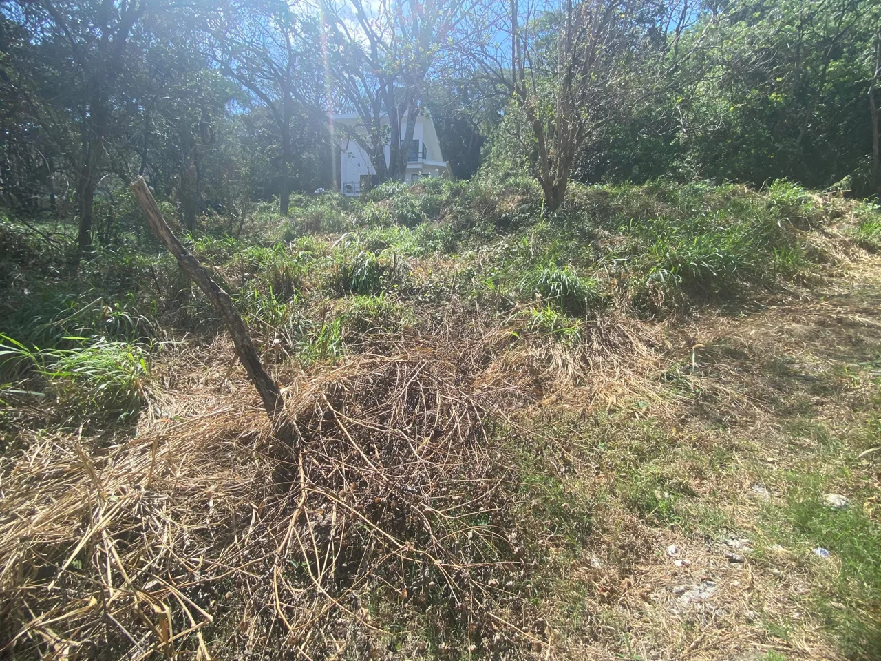 Lote en Venta en Piedades ,Santa Ana, photo 2